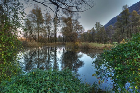 Bolle di Magadino (CH)